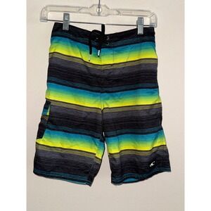 ONeill Mens Striped Board Shorts Blue Green Grey Swim Trunks Size 26